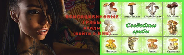 стаф Волосово