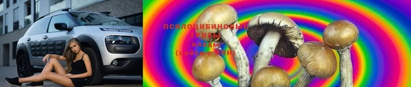 стаф Волосово