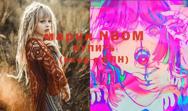 стаф Волосово