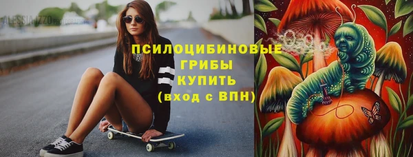 стаф Волосово