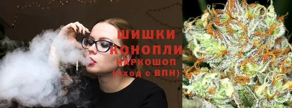 молекула духа Вязьма
