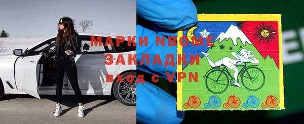 стаф Волосово