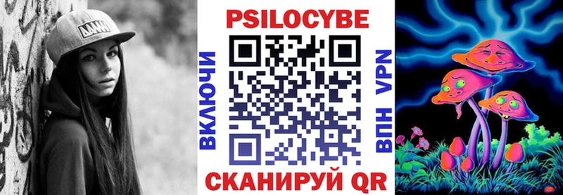 omg рабочий сайт  Абакан  Псилоцибиновые грибы Psilocybe 